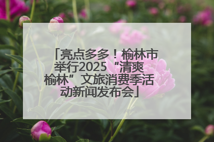 亮点多多！榆林市举行2025“清爽榆林”文旅消费季活动新闻发布会
