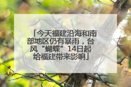 今天福建沿海和南部地区仍有暴雨，台风“蝴蝶”14日起给福建带来影响