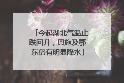 今起湖北气温止跌回升，恩施及鄂东仍有明显降水