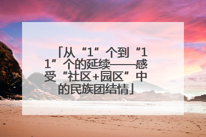 从“1”个到“11”个的延续——感受“社区+园区”中的民族团结情