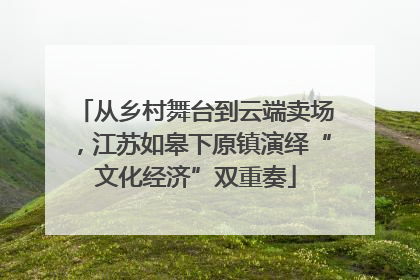 从乡村舞台到云端卖场，江苏如皋下原镇演绎“文化经济”双重奏