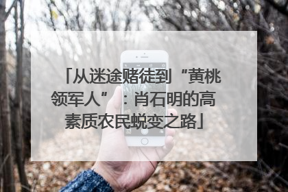 从迷途赌徒到“黄桃领军人”：肖石明的高素质农民蜕变之路