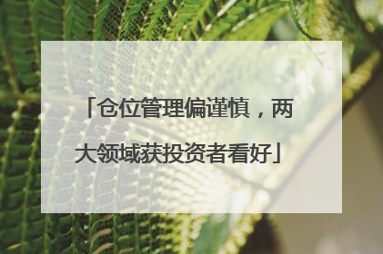 仓位管理偏谨慎，两大领域获投资者看好