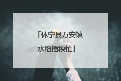 休宁县万安镇水稻插秧忙