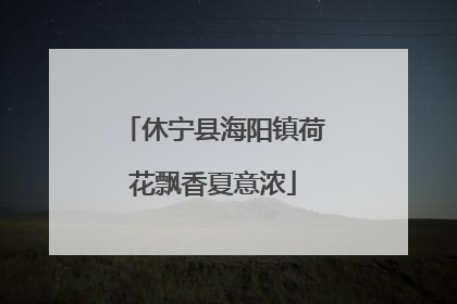 休宁县海阳镇荷花飘香夏意浓