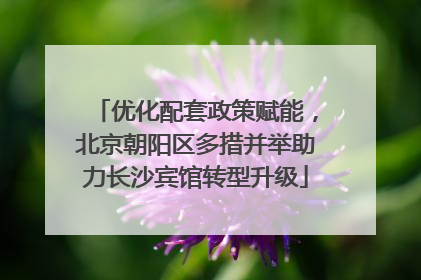 优化配套政策赋能，北京朝阳区多措并举助力长沙宾馆转型升级