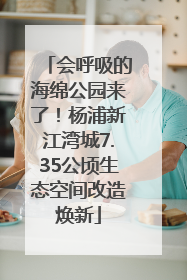 会呼吸的海绵公园来了！杨浦新江湾城7.35公顷生态空间改造焕新