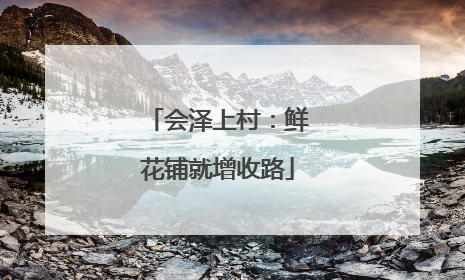 会泽上村：鲜花铺就增收路