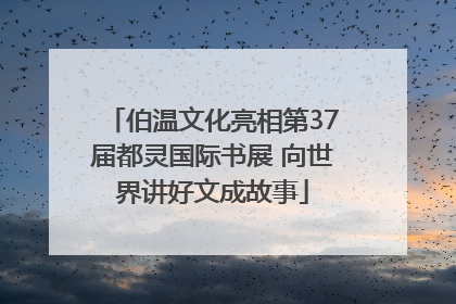 伯温文化亮相第37届都灵国际书展 向世界讲好文成故事
