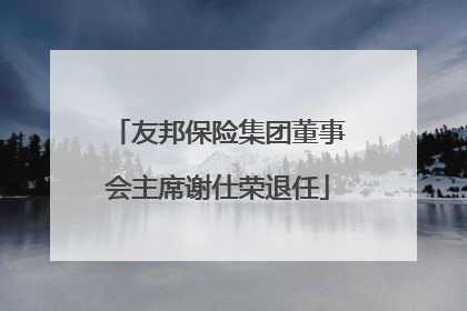 友邦保险集团董事会主席谢仕荣退任