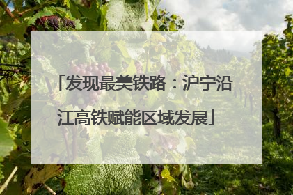 发现最美铁路：沪宁沿江高铁赋能区域发展