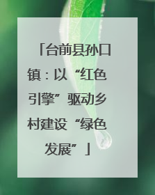 台前县孙口镇：以“红色引擎”驱动乡村建设“绿色发展”