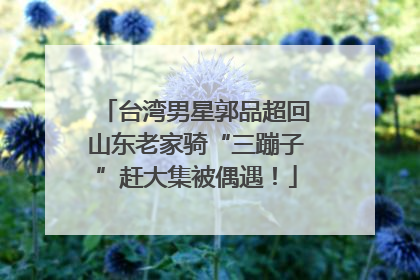 台湾男星郭品超回山东老家骑“三蹦子”赶大集被偶遇！