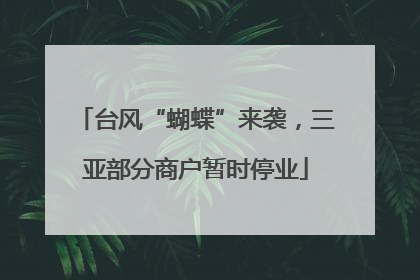 台风“蝴蝶”来袭，三亚部分商户暂时停业