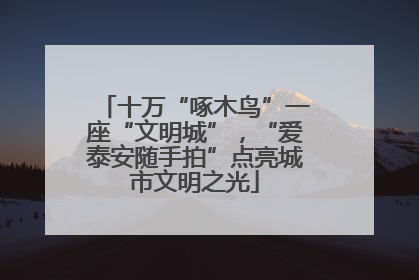 十万“啄木鸟”一座“文明城”，“爱泰安随手拍”点亮城市文明之光