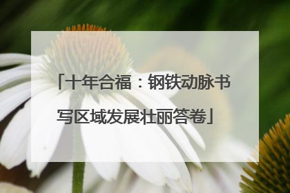 十年合福：钢铁动脉书写区域发展壮丽答卷