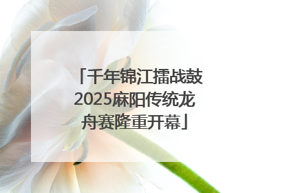 千年锦江擂战鼓 2025麻阳传统龙舟赛隆重开幕