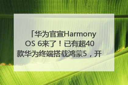 华为官宣HarmonyOS 6来了！已有超40款华为终端搭载鸿蒙5，开发者突破800万