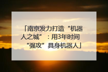 南京发力打造“机器人之城”：用3年时间“强攻”具身机器人