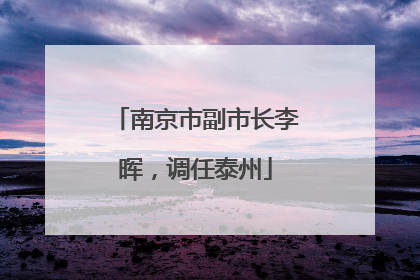南京市副市长李晖，调任泰州