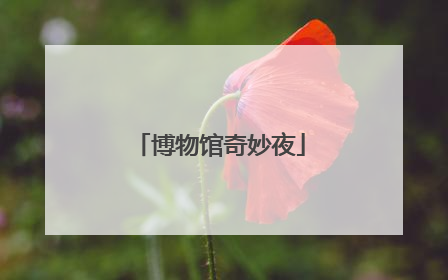 博物馆奇妙夜