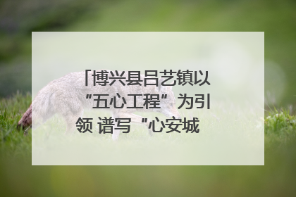 博兴县吕艺镇以“五心工程”为引领 谱写“心安城市”建设新篇章
