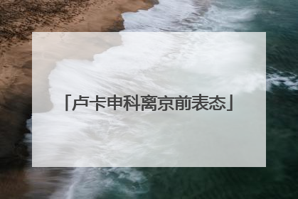 卢卡申科离京前表态
