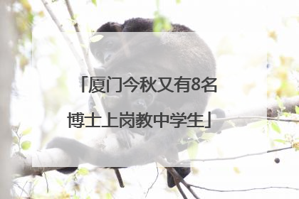 厦门今秋又有8名博士上岗教中学生