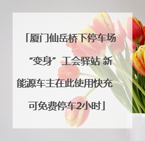 厦门仙岳桥下停车场“变身”工会驿站 新能源车主在此使用快充 可免费停车2小时