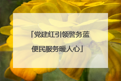党建红引领警务蓝 便民服务暖人心