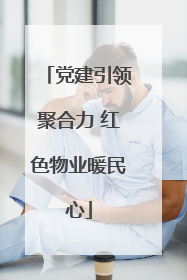 党建引领聚合力 红色物业暖民心