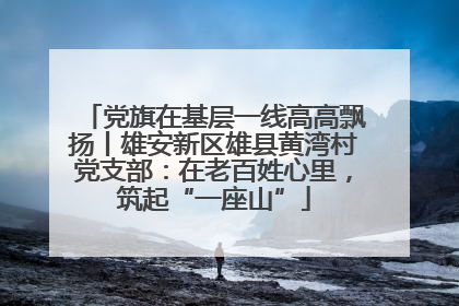 党旗在基层一线高高飘扬丨雄安新区雄县黄湾村党支部：在老百姓心里，筑起“一座山”