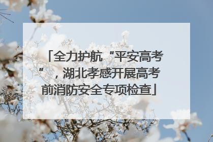 全力护航“平安高考”，湖北孝感开展高考前消防安全专项检查