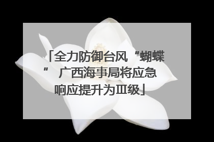 全力防御台风“蝴蝶” 广西海事局将应急响应提升为Ⅲ级