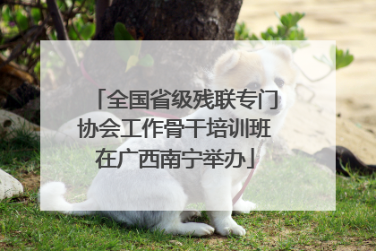 全国省级残联专门协会工作骨干培训班在广西南宁举办