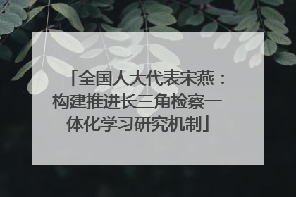 全国人大代表宋燕：构建推进长三角检察一体化学习研究机制