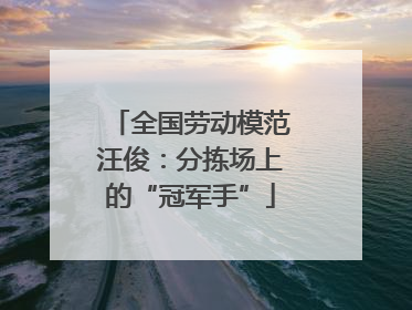 全国劳动模范汪俊：分拣场上的“冠军手”