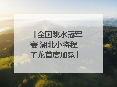 全国跳水冠军赛 湖北小将程子龙首度加冕