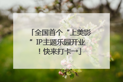 全国首个“上美影”IP主题乐园开业！快来打卡→