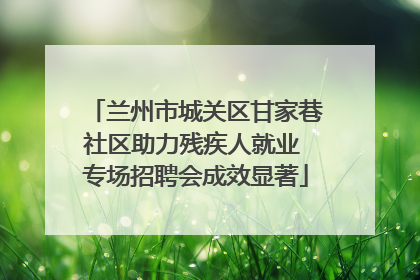 兰州市城关区甘家巷社区助力残疾人就业 专场招聘会成效显著