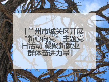 兰州市城关区开展“新心向党”主题党日活动 凝聚新就业群体奋进力量