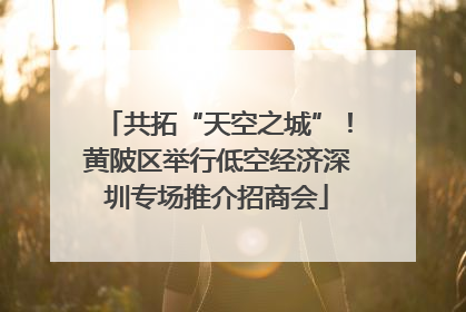 共拓“天空之城”！黄陂区举行低空经济深圳专场推介招商会