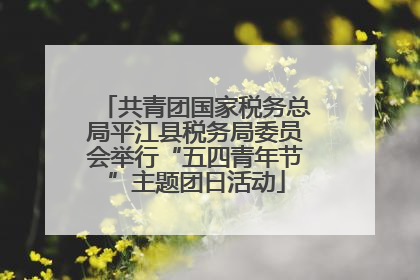 共青团国家税务总局平江县税务局委员会举行“五四青年节”主题团日活动