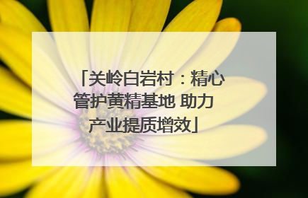 关岭白岩村：精心管护黄精基地 助力产业提质增效