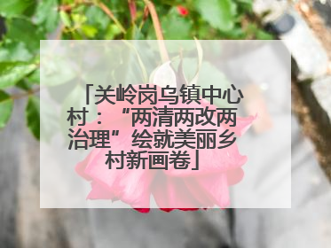 关岭岗乌镇中心村：“两清两改两治理”绘就美丽乡村新画卷