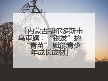 内蒙古鄂尔多斯市乌审旗：“银发”护“青苗” 赋能青少年成长成材