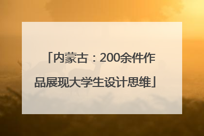 内蒙古：200余件作品展现大学生设计思维