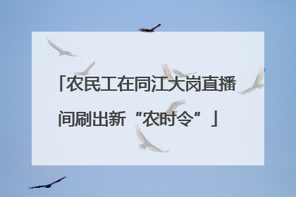 农民工在同江大岗直播间刷出新“农时令”