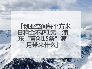 创业空间每平方米日租金不超1元，浦东“青创15条”满月带来什么