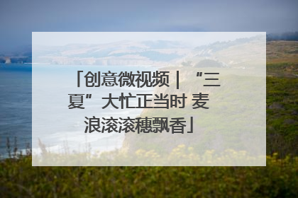 创意微视频｜“三夏”大忙正当时 麦浪滚滚穗飘香